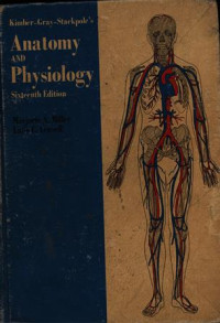 Anatomy and Physiology : Sixteenth Edition