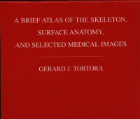 A Brief Atlas of The Skeleton, Surfance Anatomy,And Selected Medical Images