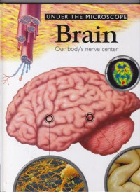 Under The Microscope Brain : Our Body's Nerve Center