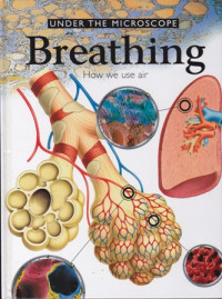 Under The Microscope Breathing How We Use Air