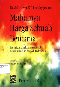 Mahalnya Harga Sebuah Bencana: Keugian Lingkungan Akibat Kebakaran dan Asap Indonesia