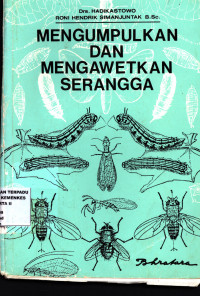 Mengumpulkan dan mengawetkan serangga