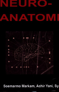 Neuro Anatomi