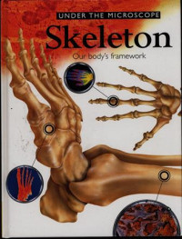 Under The Microscope Skeleton Our Body's Framework