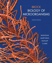 BROCK BIOLOGY OF MICROORGANISMS